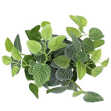 Sonoma Goods For Life® Faux Greenery In Ceramic Pot