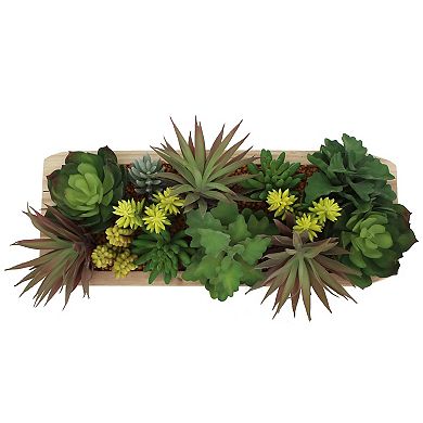 Sonoma Goods For Life® Oversized Succulent Assortment In Bowl