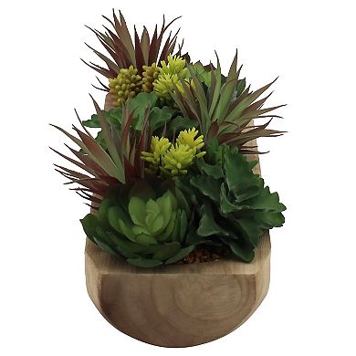 Sonoma Goods For Life® Oversized Succulent Assortment In Bowl
