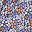Purple Graze Floral