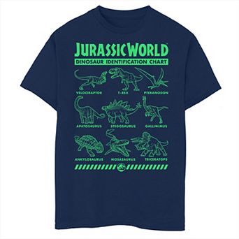 Boys 8-20 Jurassic World 2 Dino Gradient ID Chart Graphic Tee