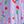 Lavender Cherry Hearts