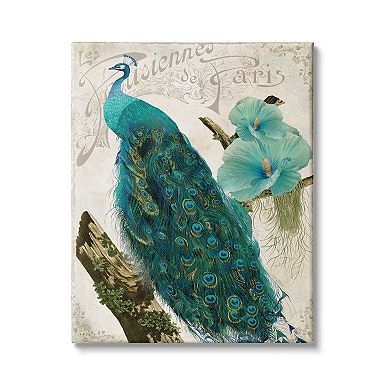 Stupell Home Decor Parisian Peacock Canvas Wall Art