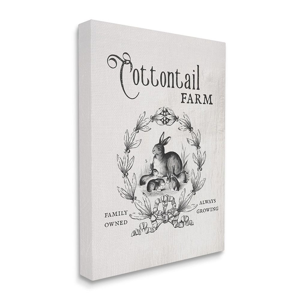 Stupell Home Decor Cottontail Farm Rabbit Canvas Wall Art