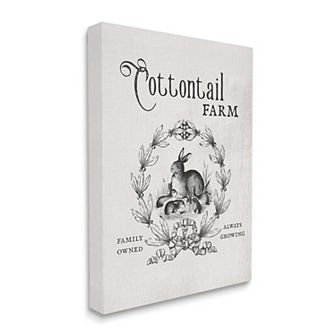 Stupell Home Decor Cottontail Farm Rabbit Canvas Wall Art