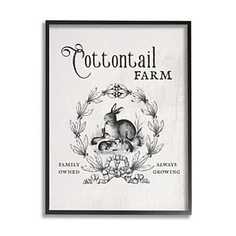 Stupell Home Decor Cottontail Farm Rabbit Framed Wall Art