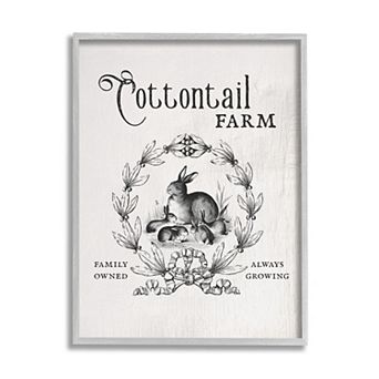 Stupell Home Decor Rabbit Cottontail Farm Framed Wall Art