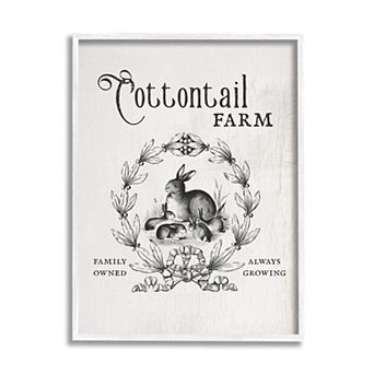 Stupell Home Decor Cottontail Farm Rabbit Family Framed Wall Art