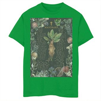 Boys 8-20 Harry Potter Mandrake Botanical Graphic Tee