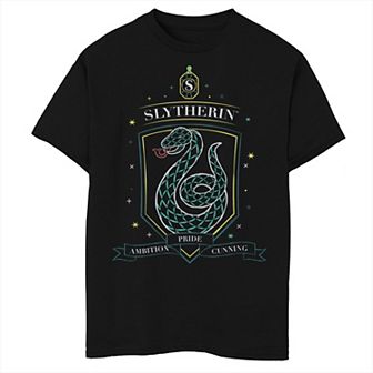 Boys 8-20 Harry Potter Slytherin Stam Graphic Tee