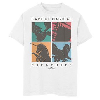 Boys 8-20 Harry Potter Care Of Magical Creatures Graphic Tee