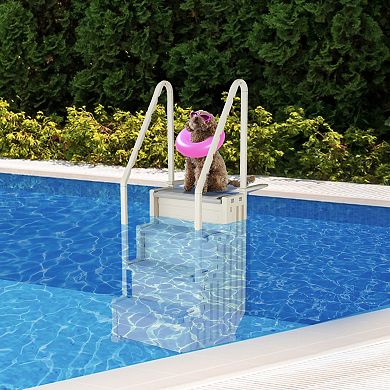 Confer Plastics In-pool 4 Step Ladder, Above Ground Swimming Pool Stairs, Gray