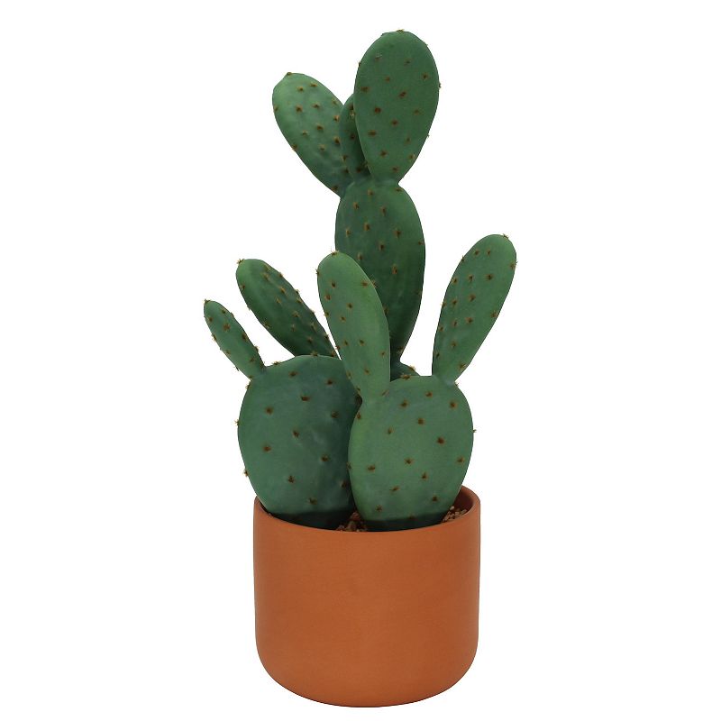 Sonoma Goods For Life Prickly Pear Cactus In Terracotta Pot, Multicolor