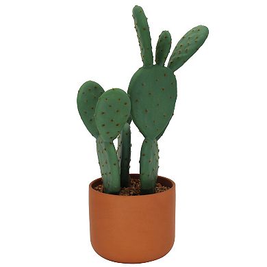 Sonoma Goods For Life® Prickly Pear Cactus In Terracotta Pot