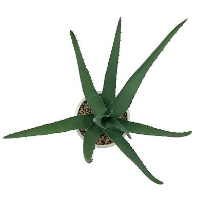 Sonoma Goods For Life Artificial Aloe Table Decor