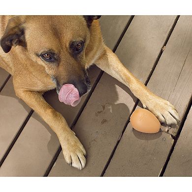 Kikkerland Bouncy Egg Dog Treat Ball