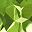Peridot