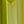 Peridot