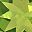 Peridot