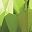 Peridot