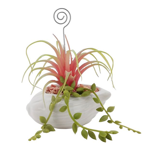 Sonoma Goods For Life® Air Plant Artificial Greenery Photo Clip