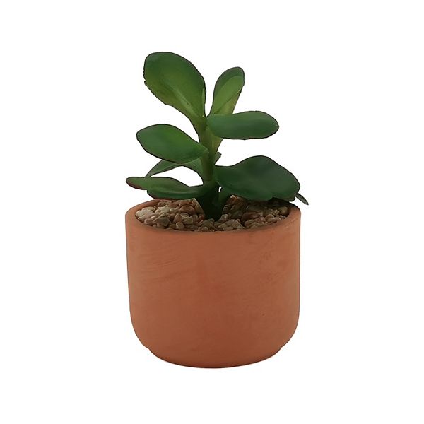 Sonoma Goods For Life® Mini Faux Aloe Plant in Terracotta Pot