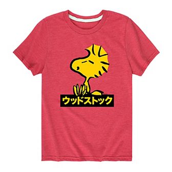 Boys 8-20 Peanuts Woodstock Graphic Tee