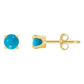 Celebration Gems 14k Gold 4mm Round Stabilized Turquoise Stud Earrings