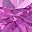 Lab Created Pink Spphr