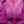 Lab Created Pink Spphr