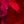 Lab Created Ruby