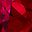 Lab Created Ruby