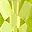 Peridot