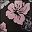 Pink Hibiscus