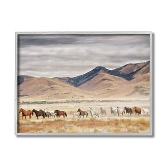 Stupell Home Decor Wild Horses Roaming Framed Wall Art