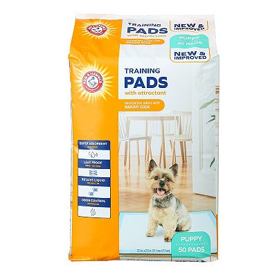 Pee pads without attractant best sale