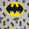 Boys 4-10 Lego Batman 4-Piece Pajamas