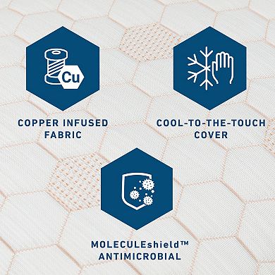 Molecule CopperWELL Cooling Gel Memory Foam Adjustable Pillow