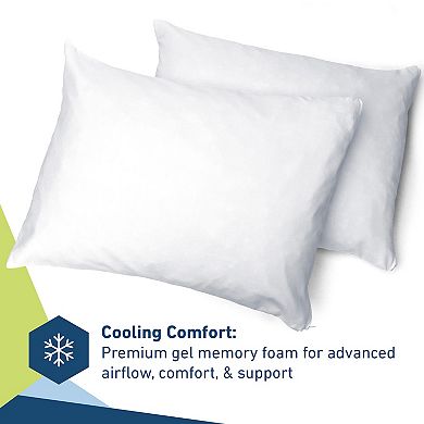 Molecule 2-pack Gel Memory Foam Pillow Set