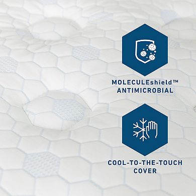 Molecule Hybrid CopperWELL™ 13-in. Mattress