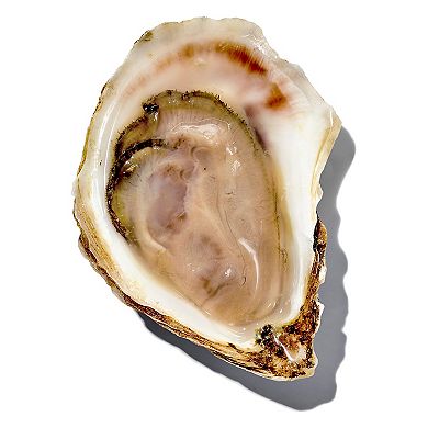 OXO Good Grips Oyster Knife