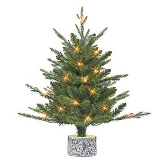 PULEO INTERNATIONAL 2-ft. Pre-Lit Potted Pine Artificial Christmas Tree