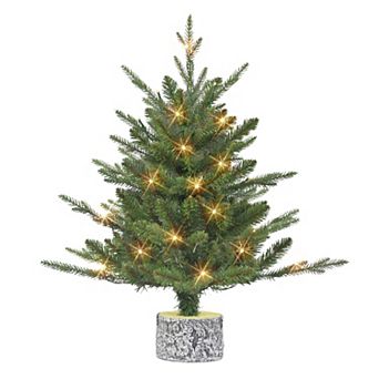 PULEO INTERNATIONAL 2-ft. Pre-Lit Potted Pine Artificial Christmas Tree