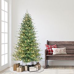 7.5' Pre-Lit LED Monterey Spruce Artificial Christmas Tree, Warm White Lights by Christmas Central