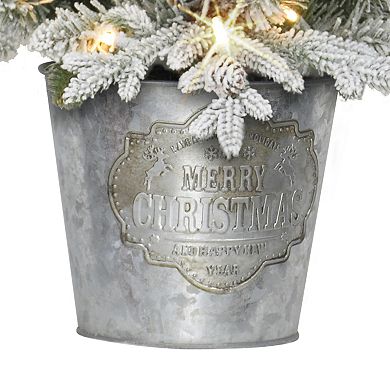 PULEO INTERNATIONAL 4.5 ft. Pre-Lit Flocked Artificial Christmas Tree