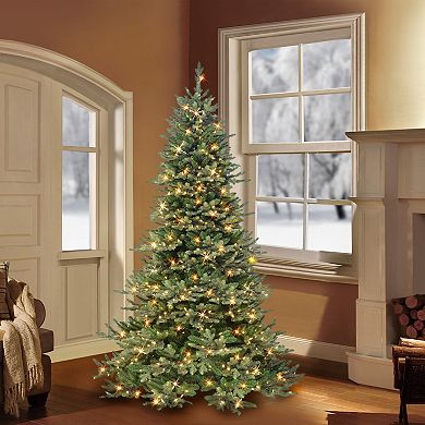 PULEO INTERNATIONAL 6.5-ft. Pre-Lit Royal Majestic Douglas Fir Downswept Artificial Christmas Tree