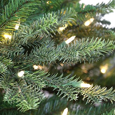 PULEO INTERNATIONAL 6.5-ft. Pre-Lit Slim Royal Majestic Douglas Fir Downswept Artificial Christmas Tree