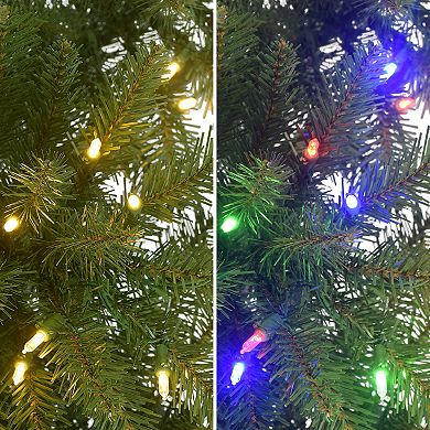 PULEO INTERNATIONAL 10-ft. Pre-Lit Slim Fraser Fir Artificial Christmas Tree
