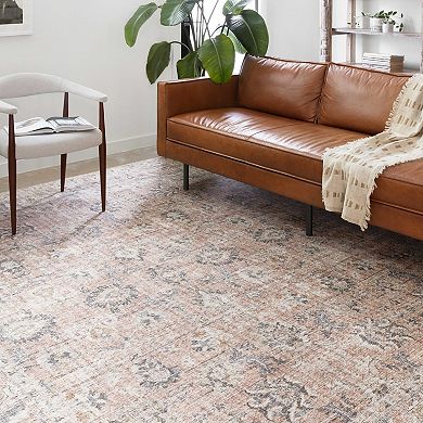 Loloi Skye Distressed Traditional Rug