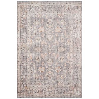 Loloi Skye Distressed Traditional Accent or Area Rug